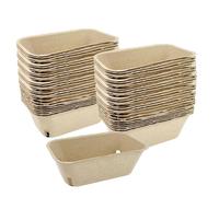 Yulokdwi Mini Cestas de Bayas | 50 Unidades de Recipiente de 1 Pinta,Cesta de Cartón para Bayas | para Tomate Frambuesa Arándano Fresa Encimera Despensa
