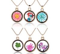 Yumilok Set de 6 colgantes con diferentes flores secas y tréboles, redondos, de cristal transparente y aleación, para mujer