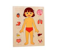 Yunhgft Juego de Rompecabezas de Madera del Cuerpo Humano para La Enseñanza Y El Aprendizaje en, Chica