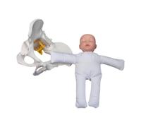 Yunmeryker Demostración de Un Modelo de en Humana, Paciente de Ginecología.