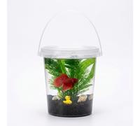 Yunmeryker Mini Pecera Autocirculante, pecera Escritorio para Principiantes, Kit Completo Plástico, Botella ecológica portátil con Barro de Plantas acuáticas y Cola de Caballo (Grande)