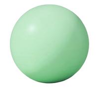 Yunnian 25 cm Soft Pilates 10inch Ejercicio Gimnasio para Pilates Cores Training Physical Therapies and Balances