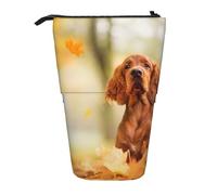 YUNWEIKEJI Cocker Spaniel Otoño Parque Perros Spaniel Marrón, Estuche telescópico para lápices, Soporte para lápices con Cremallera, Bolsa de Maquillaje, Bolsa para lápices
