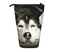 YUNWEIKEJI Husky Siberiano, Estuche telescópico para lápices, Soporte para lápices con Cremallera, Bolsa de Maquillaje, Bolsa para lápices