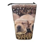 YUNWEIKEJI Labradores Cachorros Pequeños Golden Retriever, Estuche telescópico para lápices, Soporte para lápices con Cremallera, Bolsa de Maquillaje, Bolsa para lápices