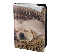 YUNWEIKEJI Labradores Cachorros Pequeños Golden Retriever, Funda para Pasaporte Cartera de Viaje de Cuero PU Funda para Pasaporte Fundas para Pasaporte 5,5 Pulgadas