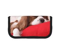 YUNWEIKEJI Patrón Cavalier King Charles Spaniel, Estuche para lápices, Estuche para lápices de Lona Bolsa para cosméticos de Gran Capacidad