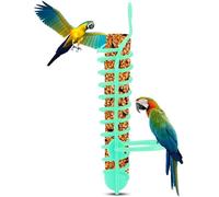 Yunxiao88 Soporte para mijo, cesta de comedero para loros, soporte de comida para pájaros, soporte de forraje para loros, alimentador de frutas y verduras (verde)