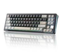 YUNZII AL71 65% Teclado mecánico, Todo Aluminio CNC, Anillo Intercambiable en Caliente, 2,4 GHz inalámbrico BT5.0/USB-C Teclado Gaming de Cable, NKRO RGB, para Win/Mac (Negro, Crystal White Switch)
