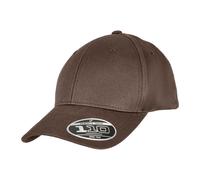 Yupoong Gorra Flexfit 110 de Orgánica para Adultos Unisex (RW8623)