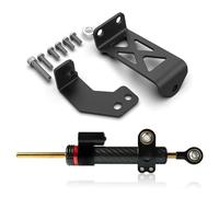 YUQUDGELKY Kit De Amortiguador Dirección Para Motocicleta Para Pan America 1250 Modelos Estándar Y Especiales RA1250(Model C)