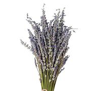 Yusheng Lavanda Seca | Ramo Lavanda Decorativa - Ramo Flores Símbolo del Amor Arreglo Flores Bricolaje Ayuda a Dormir Jarrón Pared Mesa Decoraciones para el hogar