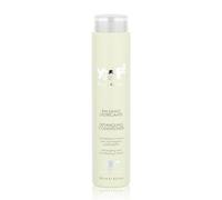 YUUP - Acondicionador Desenredante Reparador 250Ml