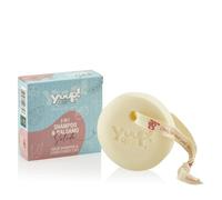 YUUP!- Champú y Acondicionador Sólido 2 en 1 para Perros y Gatos, 80 g, Natural y Biodegradable, con Manteca de Karité, Semillas de Lino, Almidón de Arroz y Pantenol.