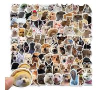 YUVKIN Set de 50 divertidas pegatinas de perros, ideal para adultos, con adhesivos para coches, portátiles, monopatines, bicicletas, ciclomotores, motocicletas y ordenadores