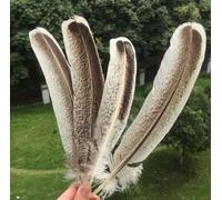 YUWEN 10 Uds Plumas de águila Naturales 10-12 pulgadas/25-30cm Accesorios de joyería Artesanal DIY