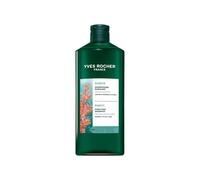 Yves Rocher Champú Detox cabello normal a graso Limpieza hasta 48h - 300 ml | Deja el cabello más ligero y brillante - Con macroalgas ecológicas de Bretaña - Sin sulfatos ni siliconas - Detoxifying
