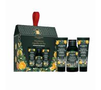 Yves Rocher Mini Set de Regalo - Mandarina & Pino: Leche Corporal 30 ml, Exfoliante 30 ml y Gel de Ducha 50 ml - Rutina Hidratante con Fragancia Cítrica y Notas Amaderadas en Edición Limitada