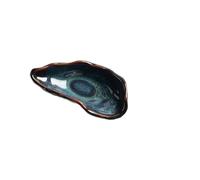 Yvxotrxnk Exquisito plato de cerámica de oyster azul, cuenco irregular hecho a mano para aperitivos gourmet y salsas - Perfecto como regalo de anfitriona y plato único para servir para el