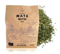 YVY MATE Yerba Mate Bio Menta 500g | Mate orgánico justo y sin humo | Sin varilla | Mate perfecto para comenzar y disfrutar de los beneficios del mate suave | Bebida energizante