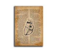 YVZOTCK Poster de anatomía,Poster de Anatomía del Corazón en Español - Papel Fotográfico de A3,sin marco, Ideal para Estudiantes y Consultorios,Anatomía de poster