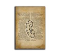 YVZOTCK Poster de anatomía,Poster de Anatomía del Oído (Español) - Papel Fotográfico de Tamaño A3, Herramienta para Otorrinolaringólogos y Enfermería,sin marco,Anatomía de poster