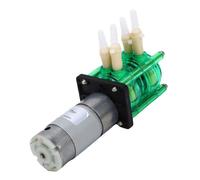 YWBL-WH Bomba Peristáltica de Doble Cabezal Min Alto Caudal con Tubo BPT Anticorrosivo para Dosificación de Laboratorio de Investigación Experimental y Transferencia de Líquidos (12V)