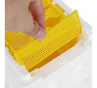 YWBL-WH Caja de Apareamiento de Abeja Reina, Cajas de Alimentación Independientes para Abejas, Equipo de Polinización Ligero para Grupo de Apicultura, Polinización de Jardín