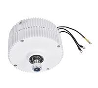 YWBL-WH Generador de Imán Permanente de 300 W, Alternador de Viento de Alta Eficiencia para Aplicaciones Industriales de 12 V/24 V con Resistencia a Temperaturas Extremas (motor de 12V)