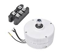 YWBL-WH Generador de Imán Permanente de 300 W, Alternador de Viento de Alta Eficiencia para Aplicaciones Industriales de 12 V/24 V con Resistencia a Temperaturas Extremas (motor 12V + rectificador)