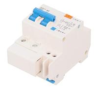 YWBL-WH Interruptor de Circuito 63A 2P 220V, Disyuntor de Protección de Fugas con Montaje en Riel DIN de 35mm para Sobrecarga, Cortocircuito y Protección de Fugas