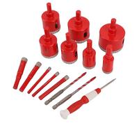 YWBL-WH Kit de Sierras Perforadoras de Diamante Soldadas, 12 Piezas de Sierras Perforadoras de Diamante Soldadas Al Vacío con Molde de Localización EVA y Estuches Rígidos, para