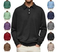 YWeiLiangSan Camisa Polo de Manga Larga con Solapa de Color Liso, Cómoda e Informal para Hombre (3X-Large,Black)