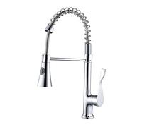 YWJFSA Grifo de Cocina con 2 Salidas,Giratorio 360°,Grifo Cocina Extraible Acero Inoxidable,Muelle en Espiral