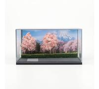 YWMJZEU Escena en Miniatura con Caja Transparente Coleccionable Vitrina Acrílico con Base Compacto Diorama para Estantería, Escena De Cerezos En Flor De Fuji, Edición Limitada De Primavera