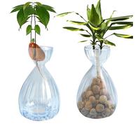 YWNYT 2 jarrones de inicio de semillas de aguacate, florero de cristal para árbol de aguacate, germinado de semillas de aguacate, jarrón hidropónico para decoración de mesa del hogar (azul)