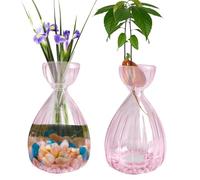 YWNYT Jarrones de Inicio de Semillas de Aguacate, Florero de Cristal para Árbol, Jarrón Hidropónico para Decoración de Mesa del Hogar (Rosa)
