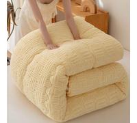 YWQJL Edredón de Terciopelo de Leche, edredón Grueso de Invierno, Manta Muy cálida y súper Suave para 2 Personas, edredón de Microfibra, edredón Acolchado Reversible(01,180 * 220cm/4.5kg)