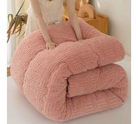 YWQJL Edredón de Terciopelo de Leche, edredón Grueso de Invierno, Manta Muy cálida y súper Suave para 2 Personas, edredón de Microfibra, edredón Acolchado Reversible(02,200 * 230cm/5kg)