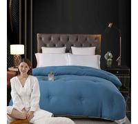 YWQJL Edredones Invierno, Edredón De Invierno Grueso Relleno De Seda De Morera, Manta De Invierno Tamaño Matrimonial, Edredón Grueso De Invierno, Edredón Acolchado Reversible.(*2,180x220cm/2kg)