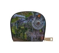 YWSOTRE Bonito Tren de Vapor, Funda de Cuero de PU para Tarjetas, Tarjetero Elegante, Tarjetero Tipo Billetera