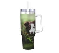 YWSOTRE Border Collie Stone Sweet Brown Perros Mascotas,Botella de agua de acero inoxidable con asa para bebidas frías y calientes de 40 oz.