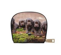YWSOTRE Cachorros Labrador Familia Cachorros Pequeños Marrón, Funda de Cuero de PU para Tarjetas, Tarjetero Elegante, Tarjetero Tipo Billetera