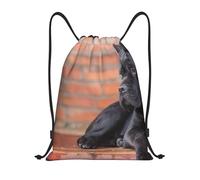 YWSOTRE Cane Corso Perros Grandes Negros Mascotas, Mochila con cordón, unisex, para deporte, gimnasio, informal, para el día a día, talla M