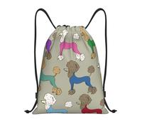 YWSOTRE Caniche colorido divertidos dibujos animados, Mochila con cordón, unisex, para deporte, gimnasio, informal, para el día a día, talla M