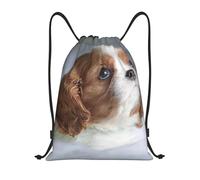 YWSOTRE Cara Cavalier King Charles Spaniel, Mochila con cordón, unisex, para deporte, gimnasio, informal, para el día a día, talla M