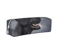 YWSOTRE Dibujo Perro Labrador, Estuche para lápices Estuche para lápices Estuche para lápices de Cuero portátil con Estuche para cosméticos con Cremallera