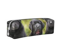 YWSOTRE Impresión de Perro Labrador Retriever, Estuche para lápices Estuche para lápices Estuche para lápices de Cuero portátil con Estuche para cosméticos con Cremallera