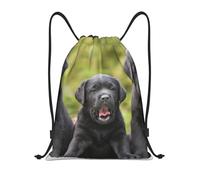 YWSOTRE Impresión de perro Labrador Retriever, Mochila con cordón, unisex, para deporte, gimnasio, informal, para el día a día, talla M