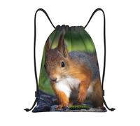 YWSOTRE linda ardilla, Mochila con cordón, unisex, para deporte, gimnasio, informal, para el día a día, talla M